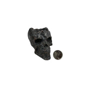 Yooperlite Skull Bowl - 2.5-2.5 inch