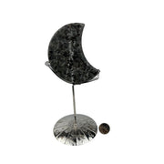 Yooperlite Moon with Zodiac Stand - 4 inch