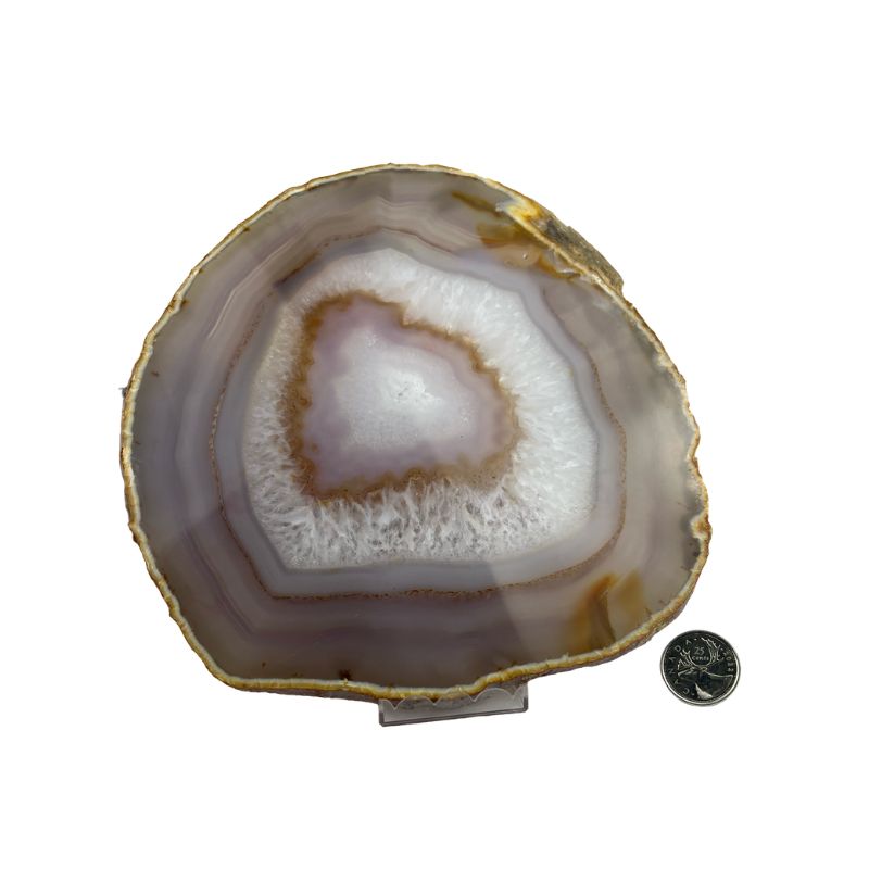 Natural Mixed Agate Slice - 8.0-8.5 inch