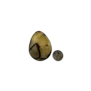 Septarian Egg - 2.5-3.0 inch