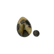 Septarian Egg - 2.5-3.0 inch