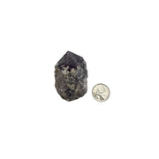 Lepidolite Top Polished Point - 2.25-3.25 inch