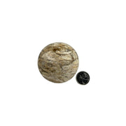Plume Agate Sphere - 1.5-2.5 inch