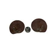 Ammonite Polished Fossil Pair - 2.0-5.25 inch