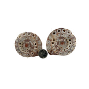 Ammonite Polished Fossil Pair - 2.0-5.25 inch