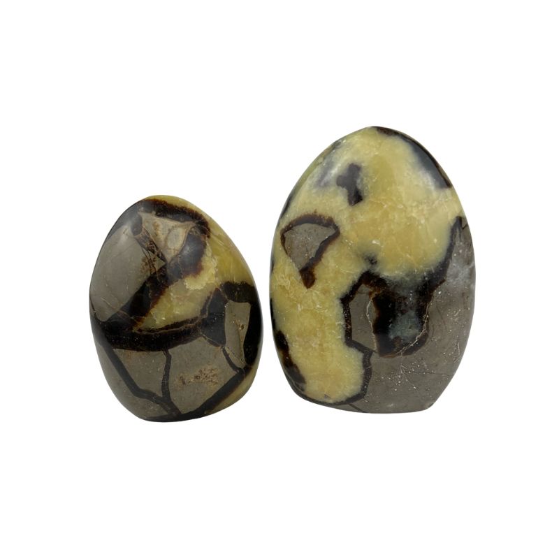 Septarian Freeform - 3.5-4.0 inch