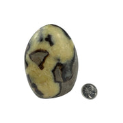 Septarian Freeform - 3.5-4.0 inch