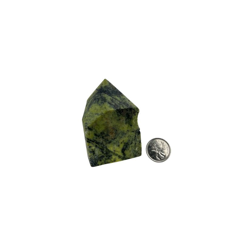 Serpentine Top Polished Point - 2.75-3.0 inch
