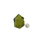 Serpentine Top Polished Point - 2.75-3.0 inch