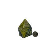 Serpentine Top Polished Point - 2.75-3.0 inch