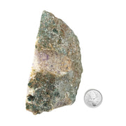 Amethyst Geode Half - 4.7 x 6.6 inch