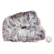 Amethyst Geode Half - 4.7 x 6.6 inch