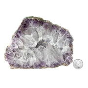 Amethyst Geode Half - 5.0 x 6.6 inch
