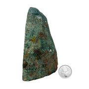 Blue Agate Geode Half - 5.1 x 6.0 inch