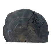 Blue Agate Slab - 5.4 x 7.7 inch