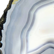 Blue Agate Geode Half - 6.3 x 5.8 inch