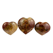 Petrified Wood Heart - 2.4-3.1 inch