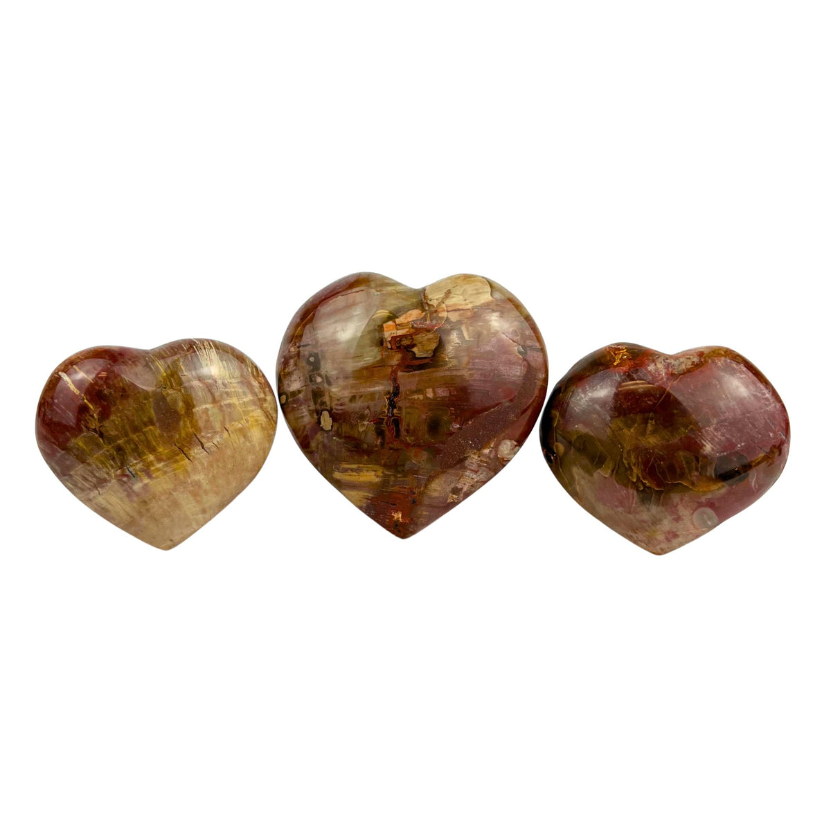 Petrified Wood Heart - 2.4-3.1 inch