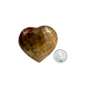 Petrified Wood Heart - 2.4-3.1 inch