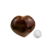 Petrified Wood Heart - 2.4-3.1 inch