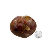 Petrified Wood Heart - 2.4-3.1 inch