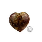 Petrified Wood Heart - 2.4-3.1 inch