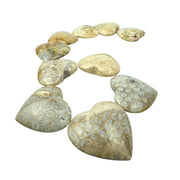 Fossil Coral Heart - 1.75 inch