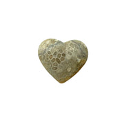 Fossil Coral Heart - 1.75 inch