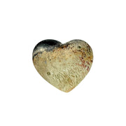 Palm Root Fossil Heart - 1.75-2 inch