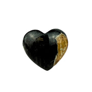 Palm Root Fossil Heart - 1.75-2 inch