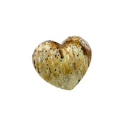 Palm Root Fossil Heart - 1.75-2 inch