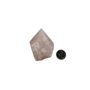 Rose Quartz Top Polished Point - 2.5-3.5 inch