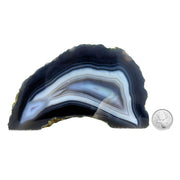 Blue Agate Geode Half - 3.3 x 6.2 inch