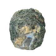 Blue Agate Geode Half - 4.8 x 4.9 inch
