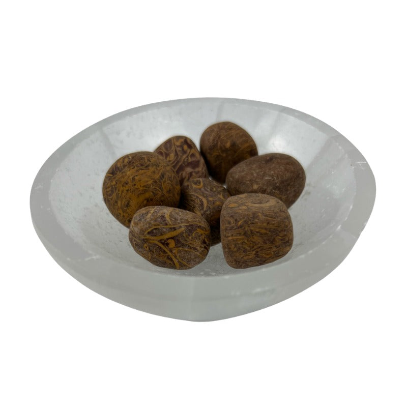 Calligraphy Jasper Tumbled Stone - 15-30 mm