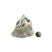 Zebra Calcite Top Polished Point - 3.5-4 inch