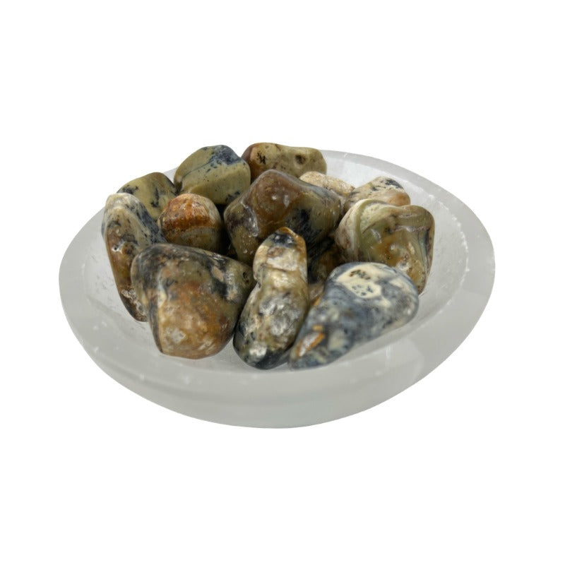 Dendritic Opal Tumbled Stone - 15-45 mm