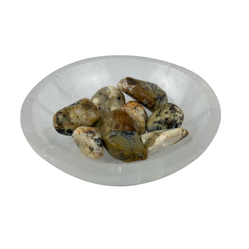 Dendritic Opal Tumbled Stone - 15-45 mm