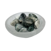 Tree Agate Tumbled Stone - 20-40 mm