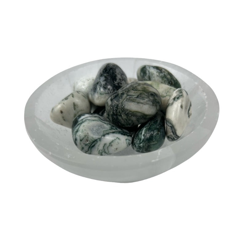 Tree Agate Tumbled Stone - 20-40 mm