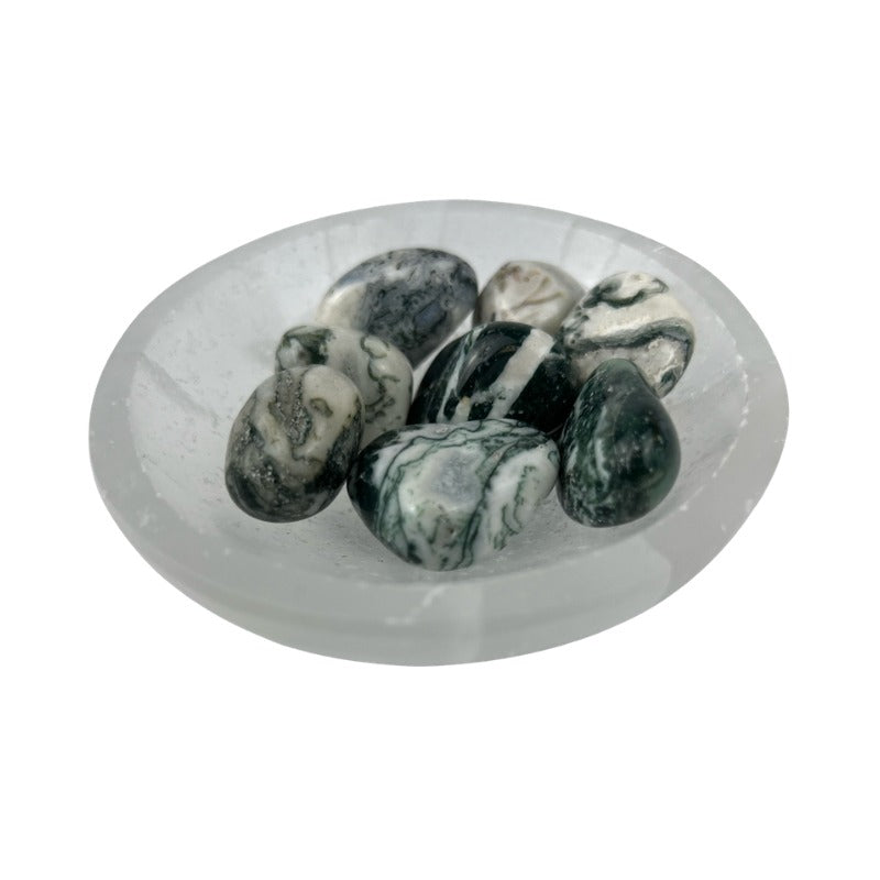 Tree Agate Tumbled Stone - 20-40 mm