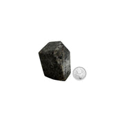 Yooperlite Freeform - 2-2.5 inch