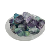 Fluorite Tumbled Stone - 15-25 mm