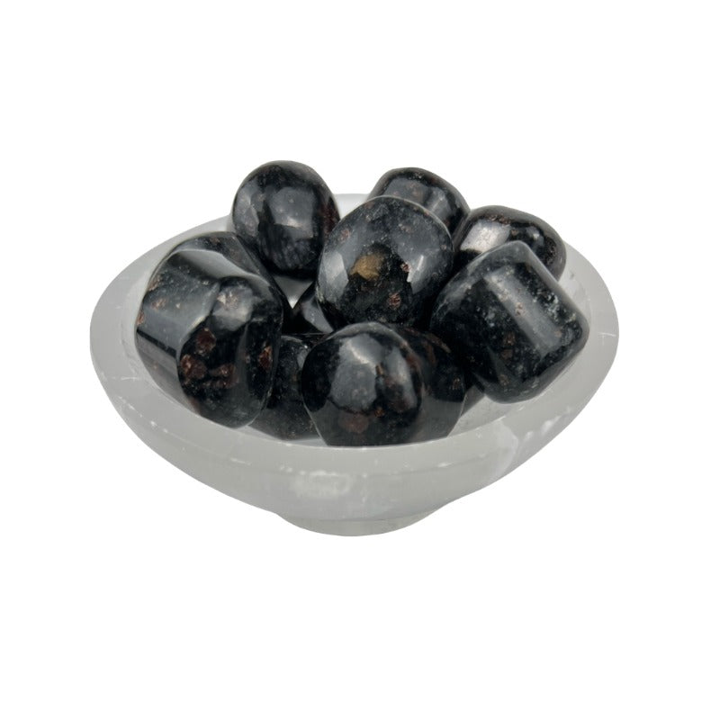 Garnet in Biotite Tumbled Stone - 20-30 mm