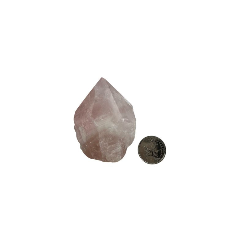 Rose Quartz Top Polished Point - 2.5-3.5 inch