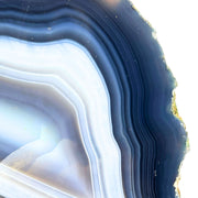 Blue Agate Geode Half - 3.3 x 6.2 inch
