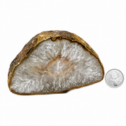 Natural Thick Agate Slice - 4.5-7.0 inch