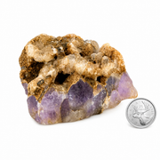 Amethyst with Phantom Quartz & Black Tourmaline Specimen - 2.25-4.5 inch