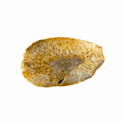 Natural Thick Agate Slice - 4.5-7.0 inch