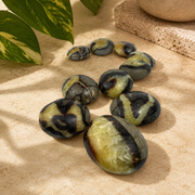 Septarian Palm Stone - 1.75-2.25 inch